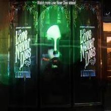 STAGE TUBE: LOVE NEVER DIES Opening Night Party